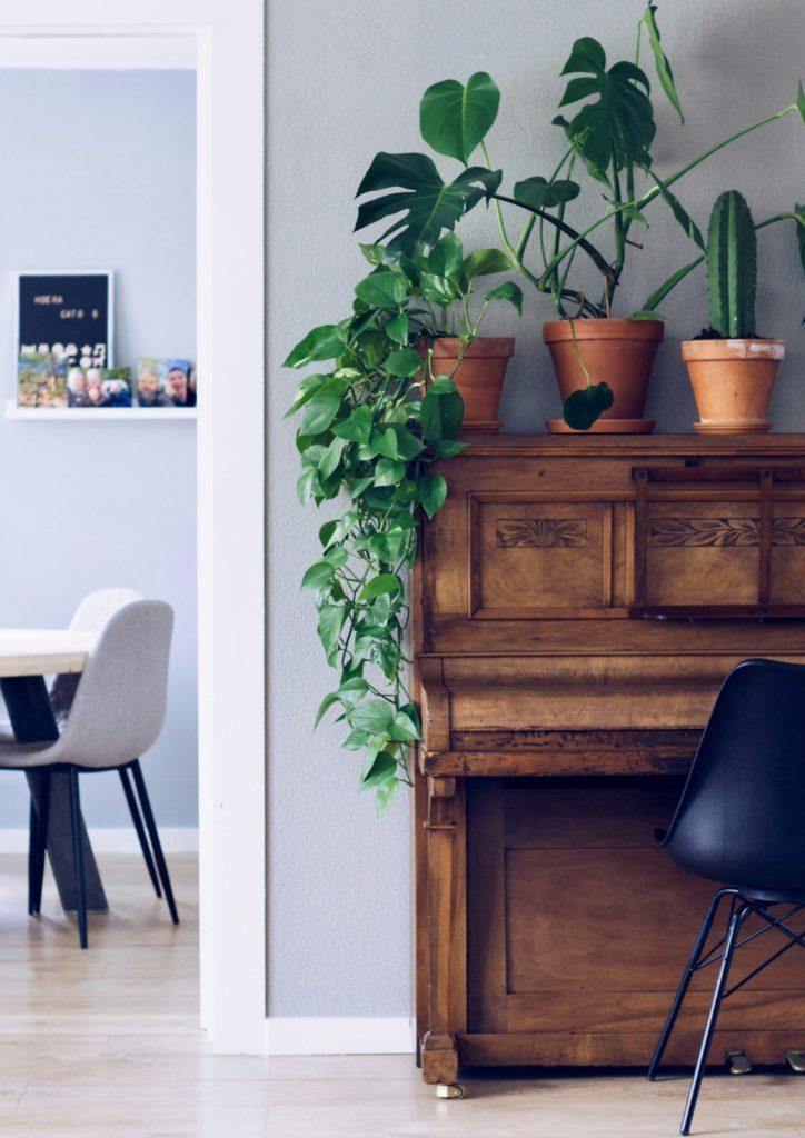 Piano med grønne planter på toppen.
